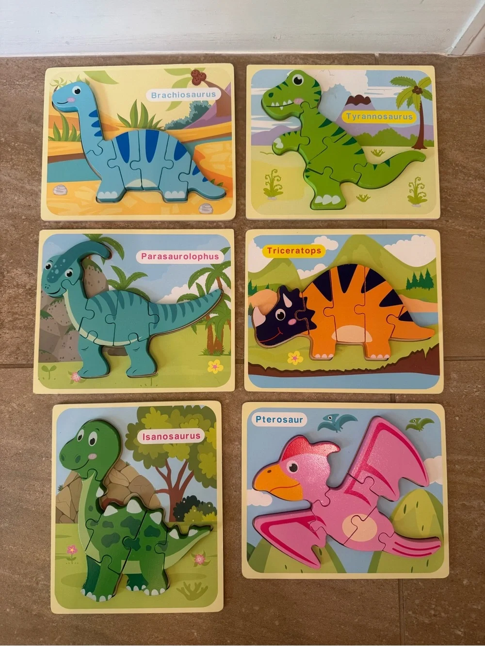 Kids Dinosaur Wooden Puzzle toy Set - 6 bright colors